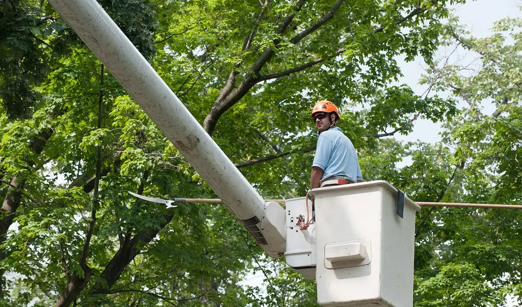 An arborist in an orange helmet trimming a tree from a bucket truck